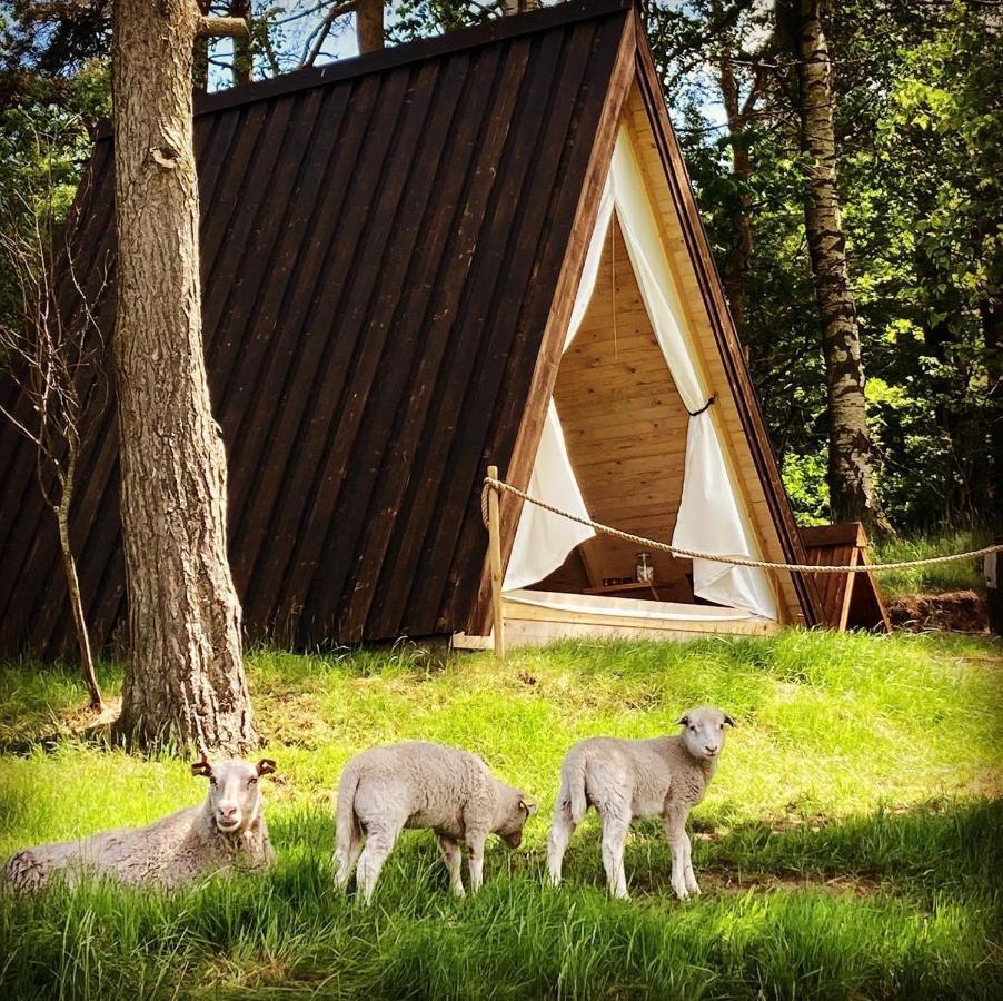 Sandfallet Glamping Laholm Luaran gambar